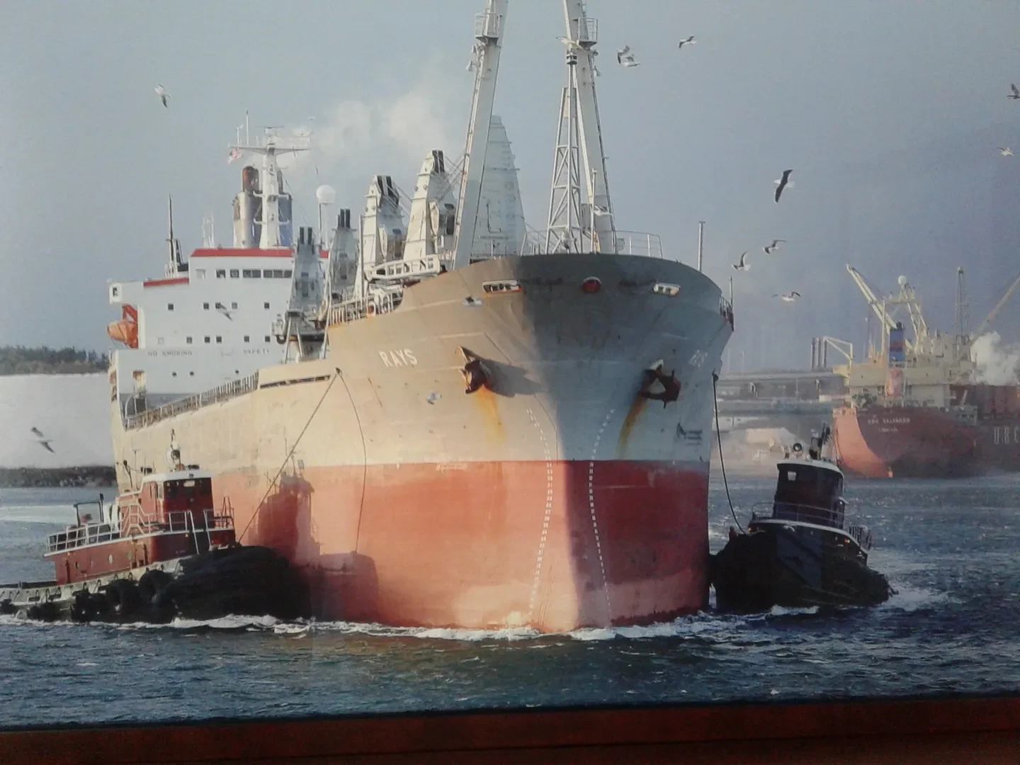 Cargo vessel RAYS being guided through port waters